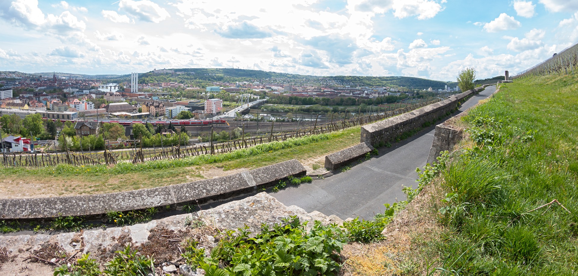 Blick von den Würzburger Weinbergen über die Stadt