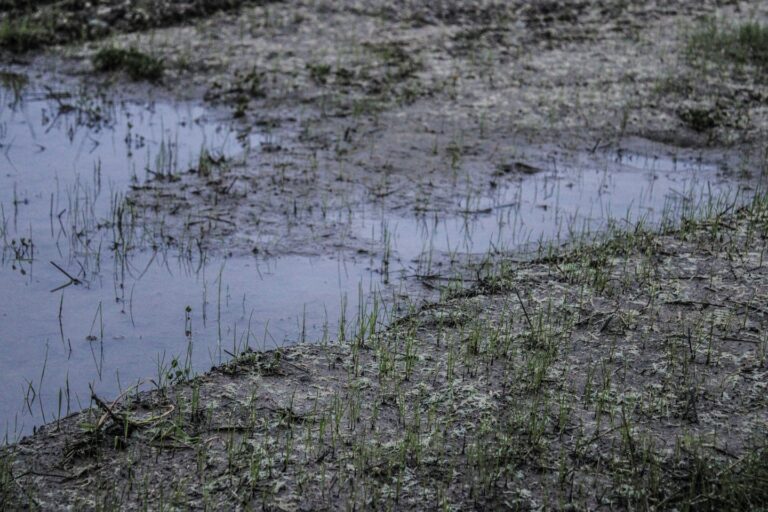Berichterstattung Regenwasserbewirtschaftung Baugebiete Lengfeld Nord