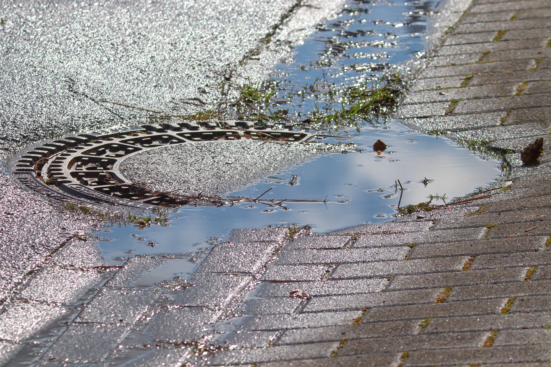 Regenwasser fließt in Gullideckel