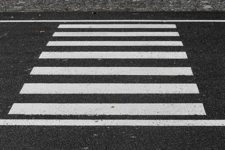 NACHGEFRAGT: Zebrastreifen über Randersackerer Straße, Klara-Oppenheimer-Schule