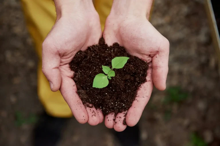 Umsetzung des Klimaschutzkonzepts