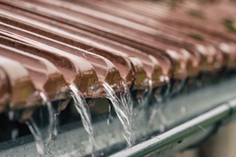 Regenwasserbewirtschaftung durch den EBW
