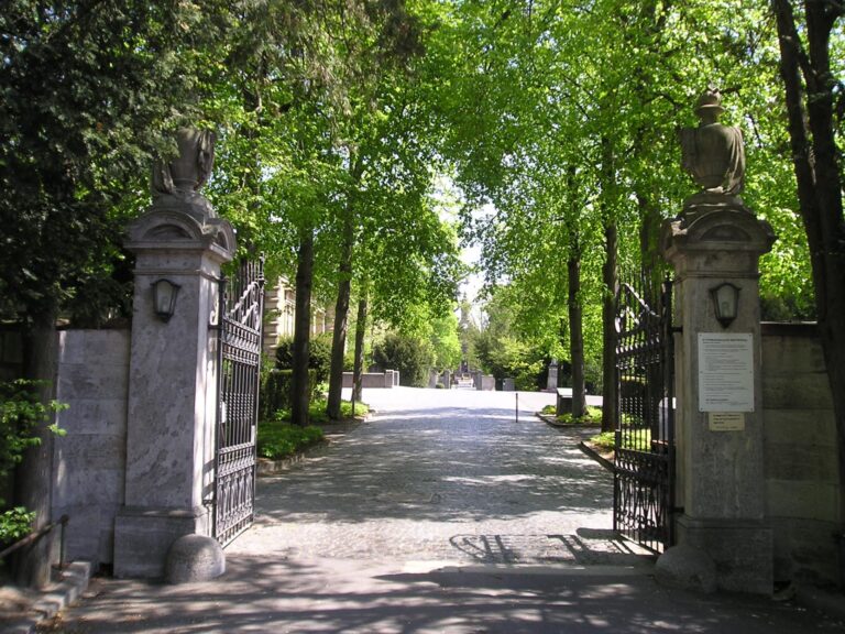 Konzept zum Erhalt des Baumbestands und zur Verbesserung der Biodiversität im Hauptfriedhof