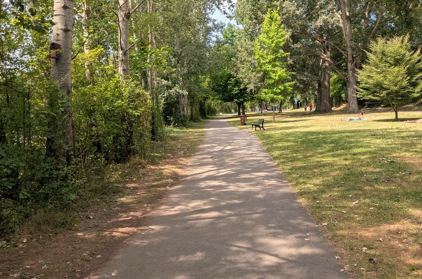 Das Mainufer in der Sanderau