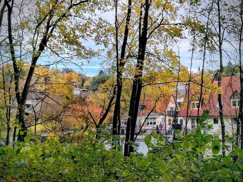 Würzburger Steinbachtal